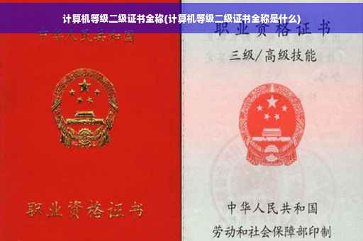 计算机等级二级证书全称(计算机等级二级证书全称是什么)