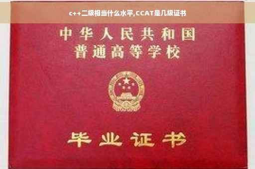 c++二级相当什么水平,CCAT是几级证书