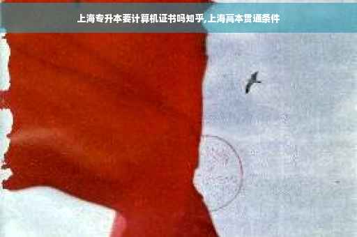 上海专升本要计算机证书吗知乎,上海高本贯通条件