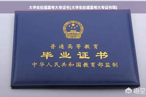 大学生在哪里考大专证书(大学生在哪里考大专证书呢)