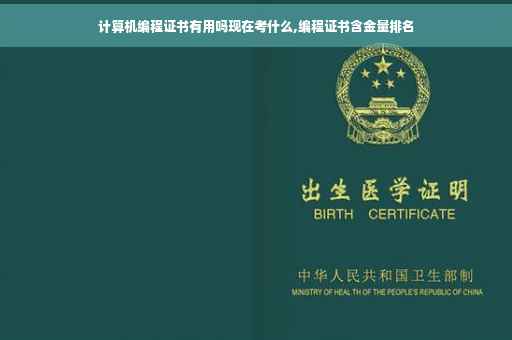 计算机编程证书有用吗现在考什么,编程证书含金量排名