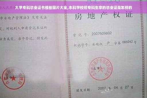 大学专科毕业证书模板图片大全,本科学校招专科生拿的毕业证是怎样的