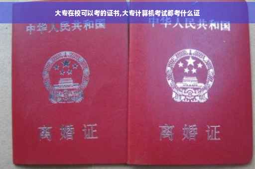 大专在校可以考的证书,大专计算机考试都考什么证