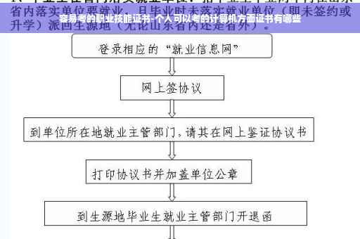 容易考的职业技能证书-个人可以考的计算机方面证书有哪些