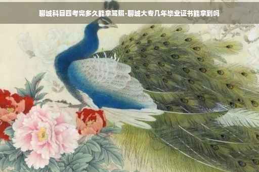 聊城科目四考完多久能拿驾照-聊城大专几年毕业证书能拿到吗