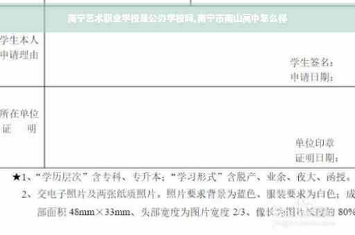 南宁艺术职业学校是公办学校吗,南宁市南山高中怎么样