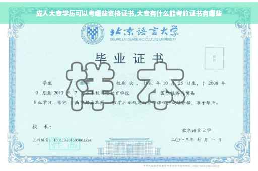 成人大专学历可以考哪些资格证书,大专有什么能考的证书有哪些