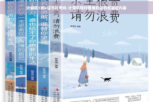 计算机1加x证书好考吗-计算机相对简单的证书有哪些内容