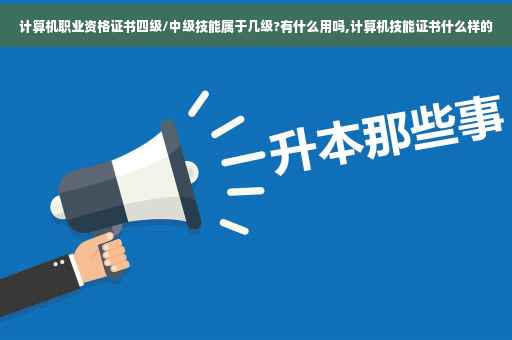 计算机职业资格证书四级/中级技能属于几级?有什么用吗,计算机技能证书什么样的