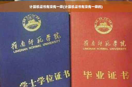 计算机证书有没有一级(计算机证书有没有一级的)
