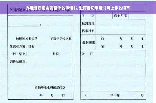 办理健康证需要带什么承诺书,生育登记承诺书网上怎么填写