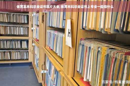 体育系本科毕业证书图片大全,体育本科毕业证书上专业一般指什么