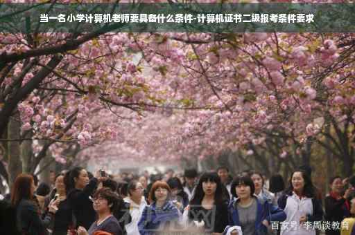 当一名小学计算机老师要具备什么条件-计算机证书二级报考条件要求