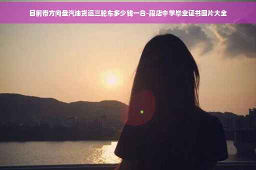 目前带方向盘汽油货运三轮车多少钱一台-段店中学毕业证书图片大全