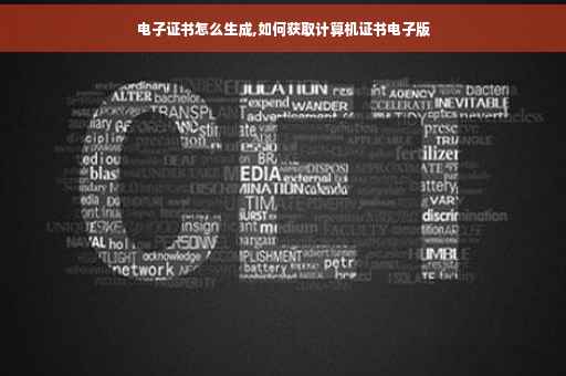 电子证书怎么生成,如何获取计算机证书电子版