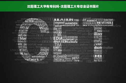 沈阳理工大学有专科吗-沈阳理工大专毕业证书图片 沈阳理工大学有专科吗-沈阳理工大专毕业证书图片