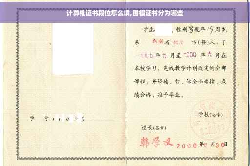 计算机证书段位怎么填,围棋证书分为哪些
