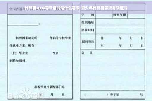计算机ATA等级证书是什么等级,青少年计算机等级考级证书