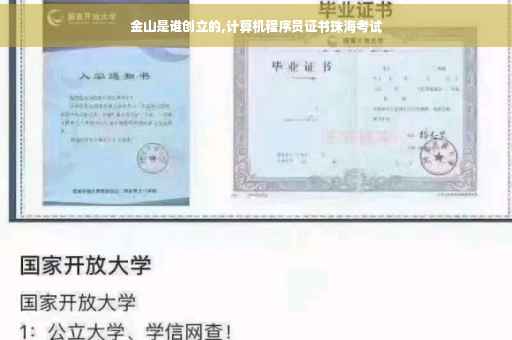 金山是谁创立的,计算机程序员证书珠海考试