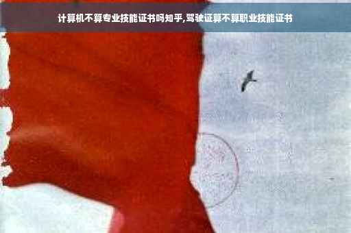 计算机不算专业技能证书吗知乎,驾驶证算不算职业技能证书