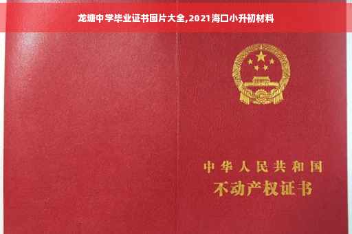 龙塘中学毕业证书图片大全,2021海口小升初材料