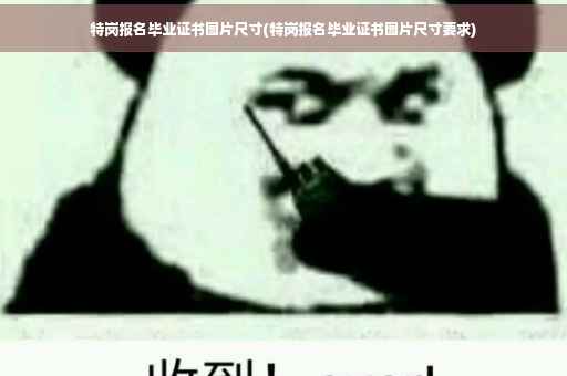 特岗报名毕业证书图片尺寸(特岗报名毕业证书图片尺寸要求)