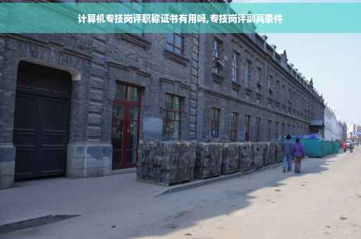 计算机专技岗评职称证书有用吗,专技岗评副高条件