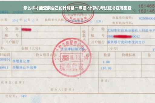 怎么样才能查到自己的计算机一级证-计算机考试证书在哪里查