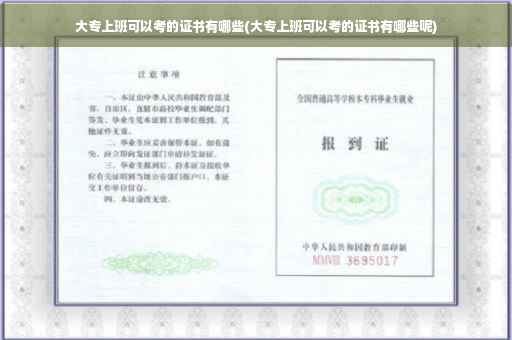 大专上班可以考的证书有哪些(大专上班可以考的证书有哪些呢)