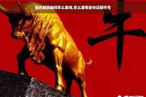我的邮政编码怎么查询,怎么查看身份证邮件号