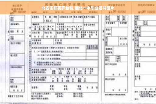 北安市那买罗丝粉,通北一中毕业证书图片