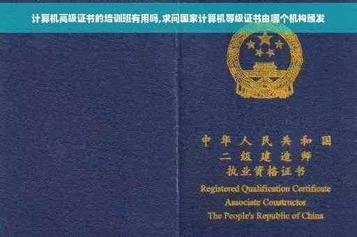 计算机高级证书的培训班有用吗,求问国家计算机等级证书由哪个机构颁发