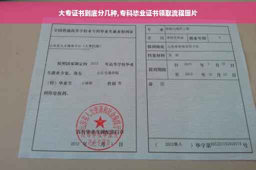 大专证书到底分几种,专科毕业证书领取流程图片