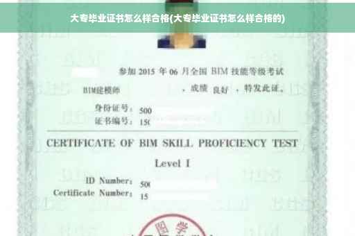 大专毕业证书怎么样合格(大专毕业证书怎么样合格的)