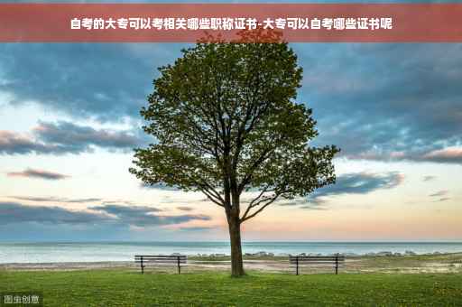 自考的大专可以考相关哪些职称证书-大专可以自考哪些证书呢