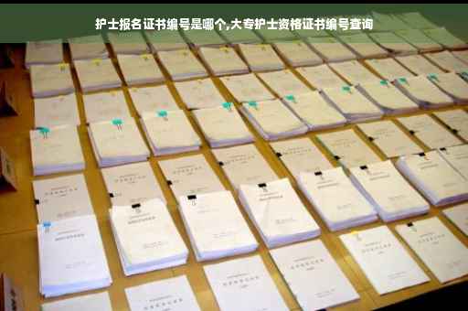 护士报名证书编号是哪个,大专护士资格证书编号查询
