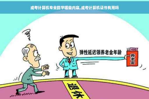 成考计算机专业能学哪些内容,成考计算机证书有用吗