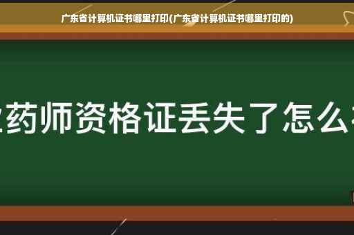 广东省计算机证书哪里打印(广东省计算机证书哪里打印的)