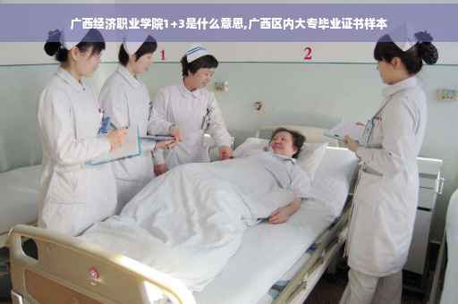 广西经济职业学院1+3是什么意思,广西区内大专毕业证书样本