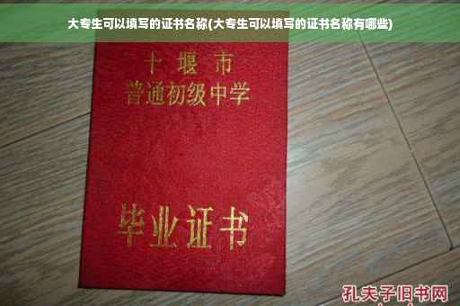 大专生可以填写的证书名称(大专生可以填写的证书名称有哪些)