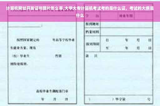 计算机网址开发证书图片怎么弄,大学大专计算机考试考的是什么证，考试的大纲是什么