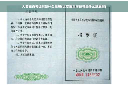 大专里自考证书是什么意思(大专里自考证书是什么意思啊)