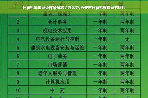 计算机等级证证件号码忘了怎么办,西安市计算机模块证书照片