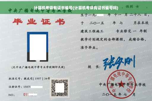 计算机考级有证书编号(计算机考级有证书编号吗)