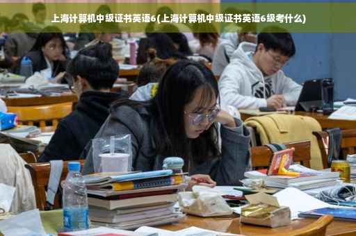 上海计算机中级证书英语6(上海计算机中级证书英语6级考什么)