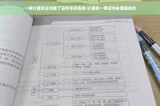 一级计算机证书除了证件号还有啥-计算机一级证书由谁颁发的