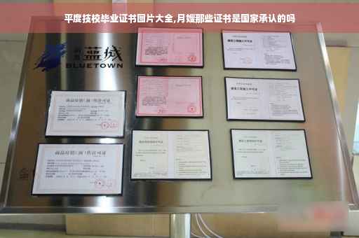 平度技校毕业证书图片大全,月嫂那些证书是国家承认的吗
