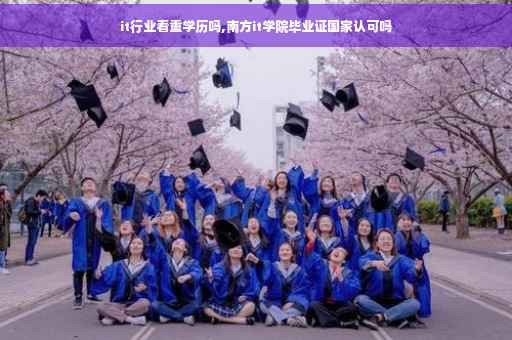 it行业看重学历吗,南方it学院毕业证国家认可吗