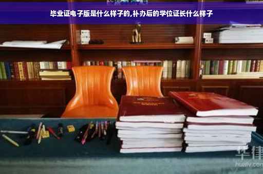毕业证电子版是什么样子的,补办后的学位证长什么样子