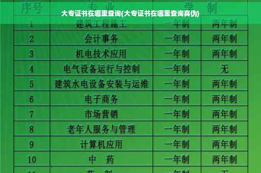 大专证书在哪里查询(大专证书在哪里查询真伪)